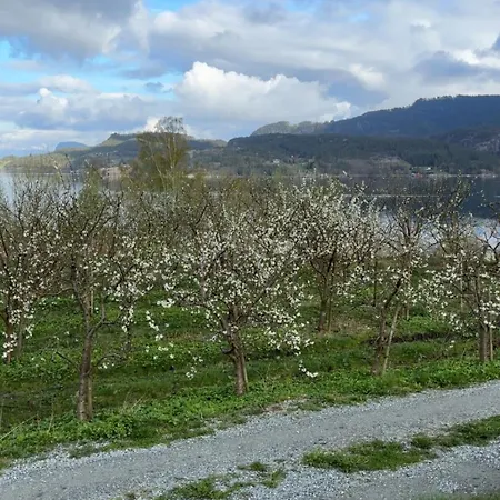 Cozy Holiday Home In Stunning Surroundings In Ardalsfjorden